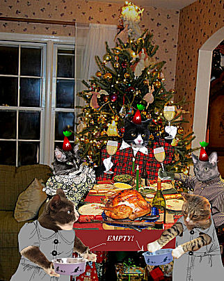 Cats carousing by Christmas Tree