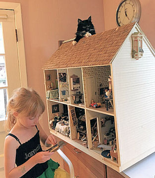 Harriet and dollhouse