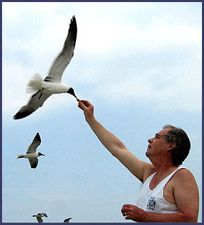 Lawrence feeding a seagull