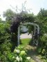 Front arch with clematis