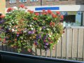 flower basket on traffic barrier