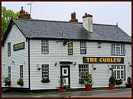the Curlew