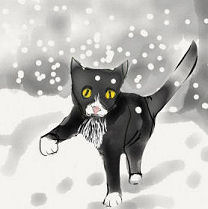 Kitty in snow