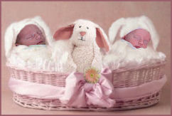 Helen & Harriet in a basket