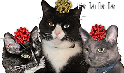 Cats with bows
