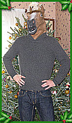 Horse Mask, front view