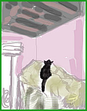 cat regards destroyed room