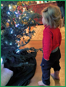 Baby and tree