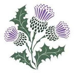 thistle
