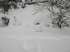 Second storm