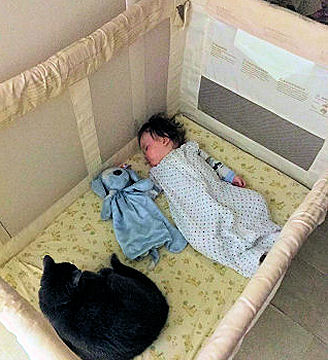 Baby asleep