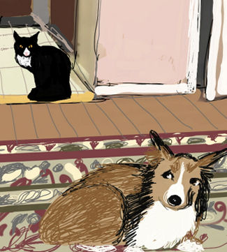 Cat Hates Dog