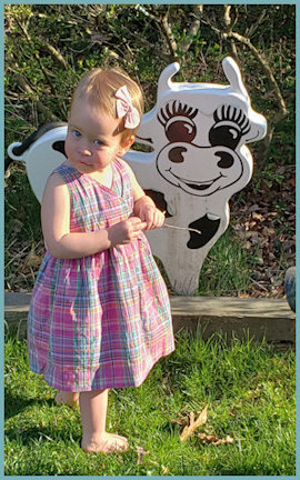 Aurora and cow