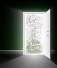 Door opening into garden