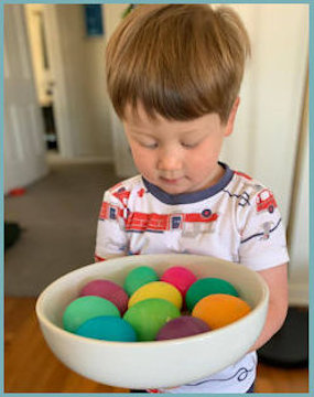 Hudson with eggs