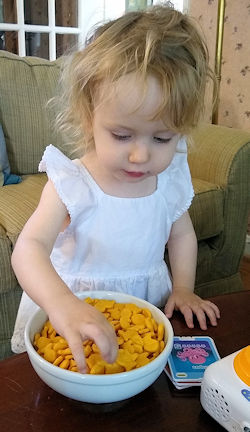 Kairos with goldfish