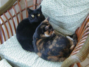 Aubrey and Pepper