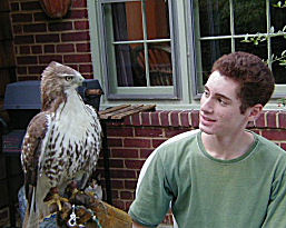 hawk
