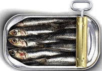 sardine can
