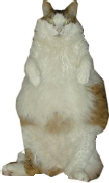 Oskar