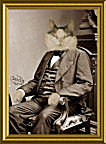 Oskar the Cat Entire