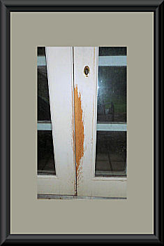 door destroyed by that damn cat