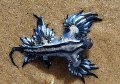 Blue Sea Slug