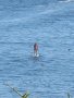 Krystyana paddles away