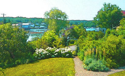 view from the porch