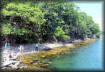 Maine Shore